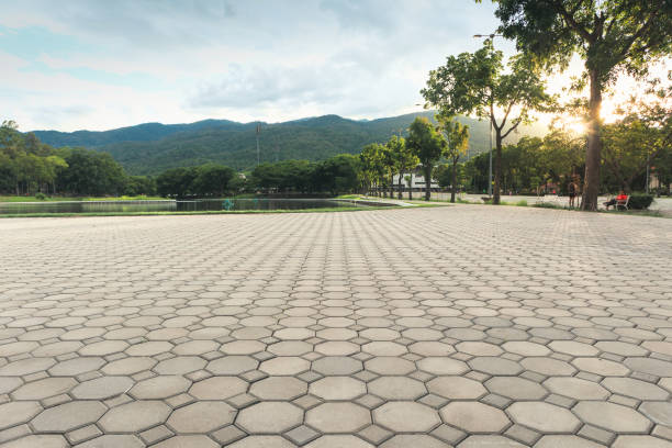 Best Driveway Paving Contractor  in Swedesboro, NJ